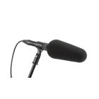 DPA 2017 Shotgun Microphone