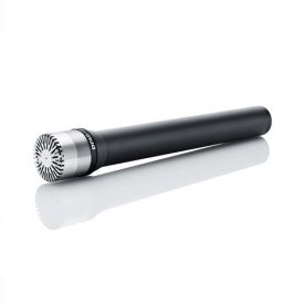 DPA 4041-SP Omni Large Diaphragm Mic, P48