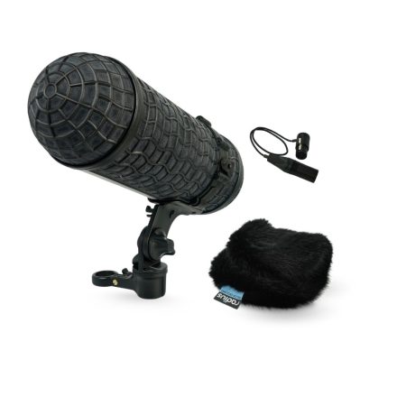 RADIUS Mini-ALTO 210 & RAD-2 Kit with 3-Pin XLR Cable