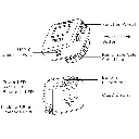 TC-12pk_WHITE_3.webp