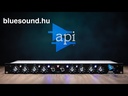 API 5500