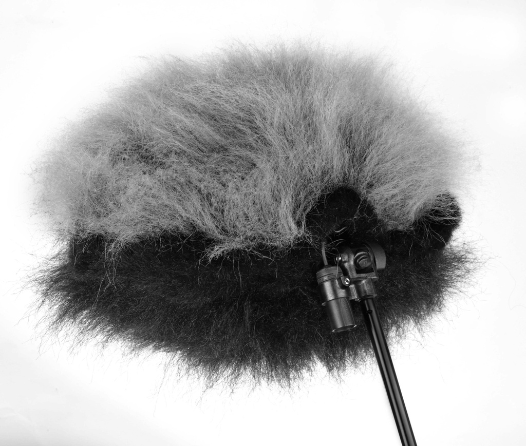 Cinela AL-FUR